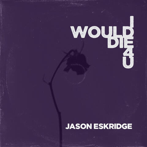 I Would Die 4 U album art