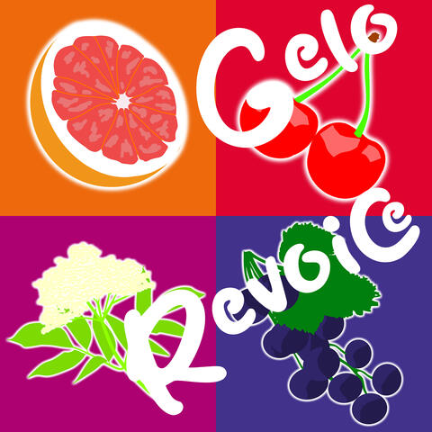 Gelo Revoice album art