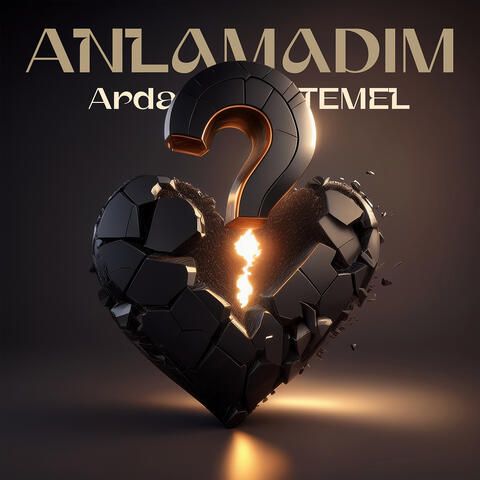 Anlamadım album art
