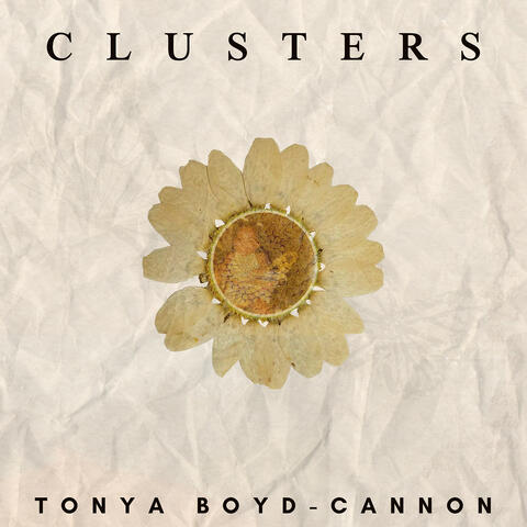 Clusters album art