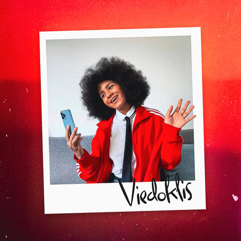 Viedoklis album art