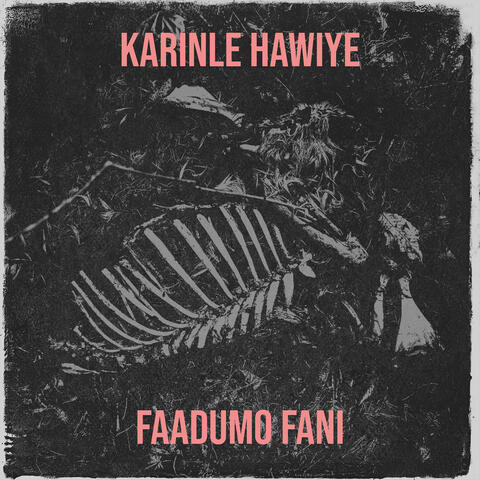 Karinle Hawiye album art