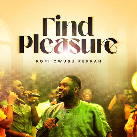Find Pleasure album art