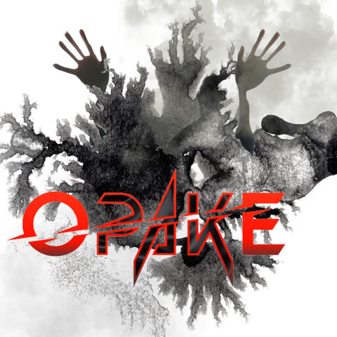 What Divides Us album art
