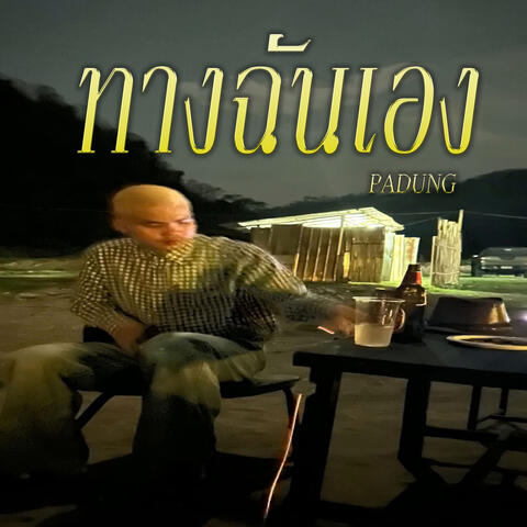 ทางฉันเอง album art