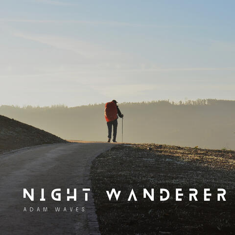 Night Wanderer album art