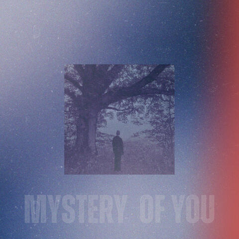 Mystery of You album art