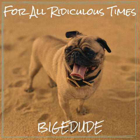For All Ridiculous Times album art
