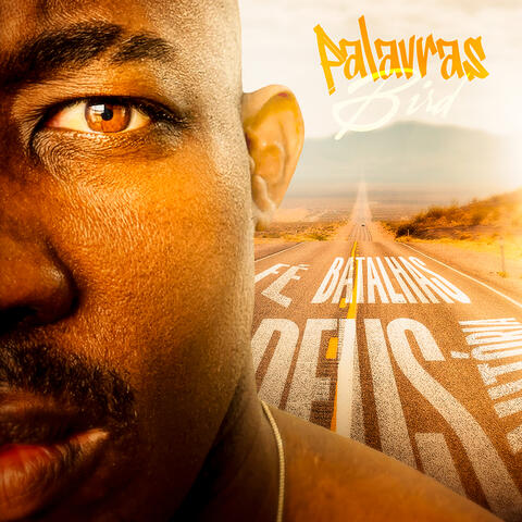 Palavras album art