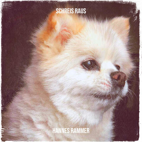 Schreis Raus album art