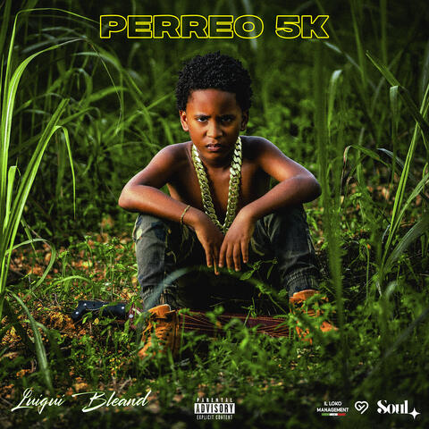 Perreo 5k album art