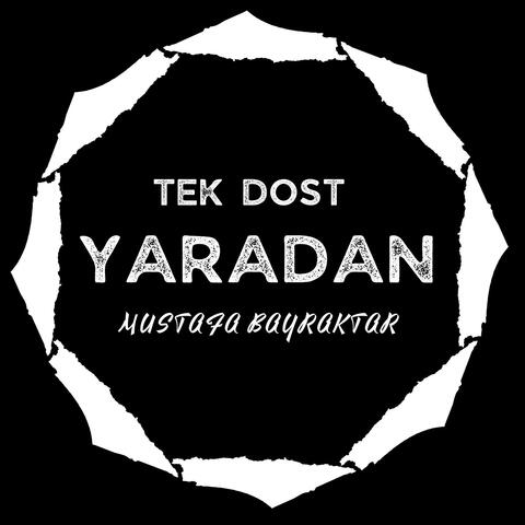 Tek Dost Yaradan album art