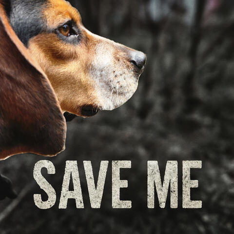 Save Me album art