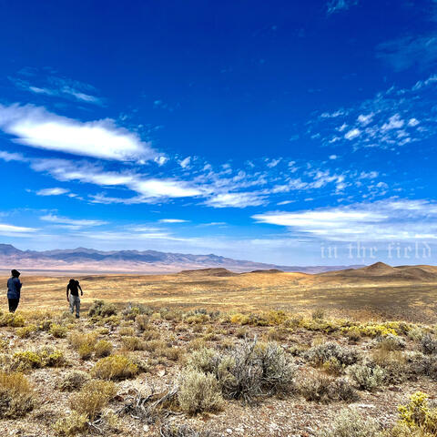 In the Field album art