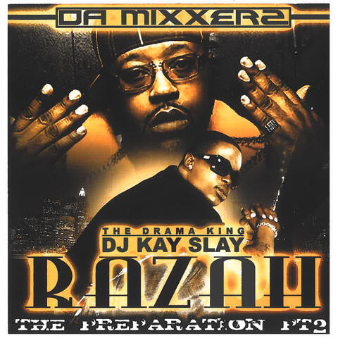 The Preparation 2 album art