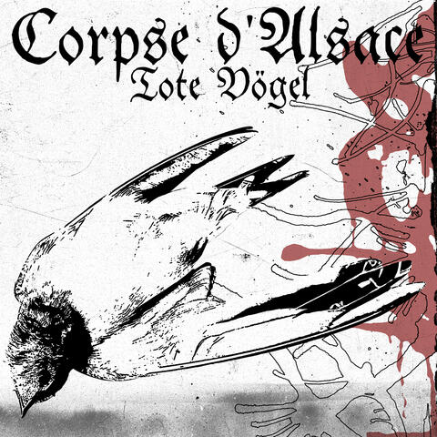 Tote Vögel album art