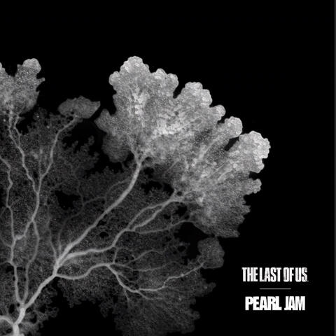 The Last of Us album art