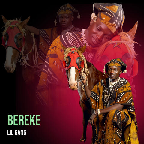 BEREKE album art