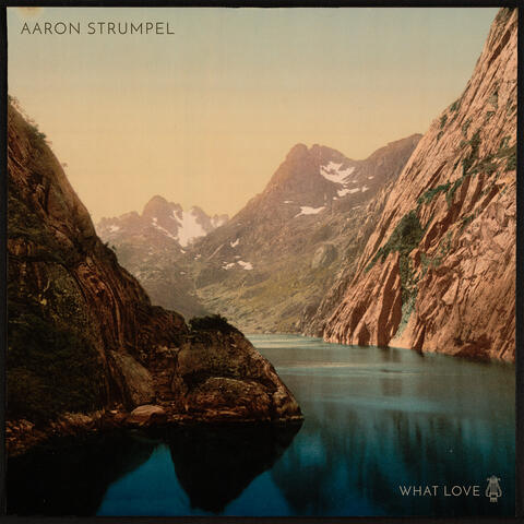 What Love album art