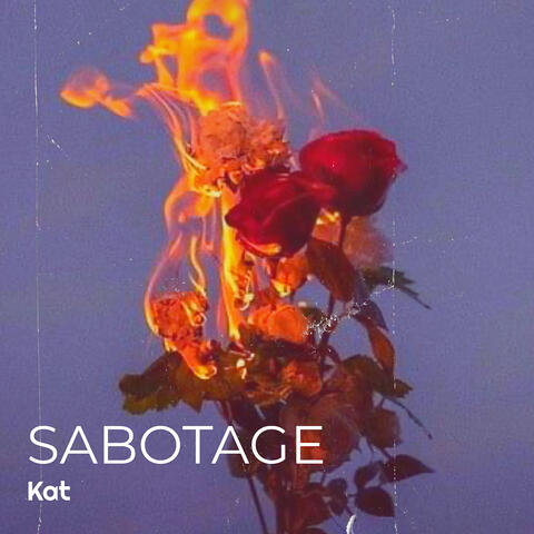 SABOTAGE album art
