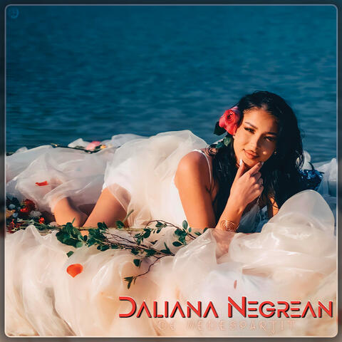 De Nedespărțit album art