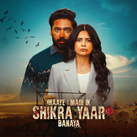 Maaye Main Ik Shikra Yaar Banaya album art