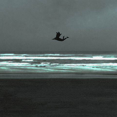 Flyingfish album art