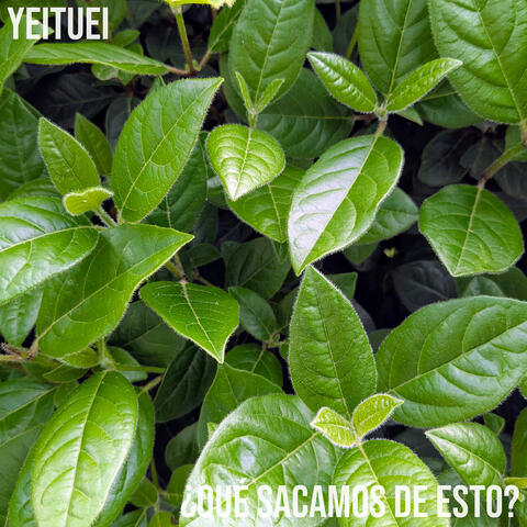 ¿Qué Sacamos De Esto? album art