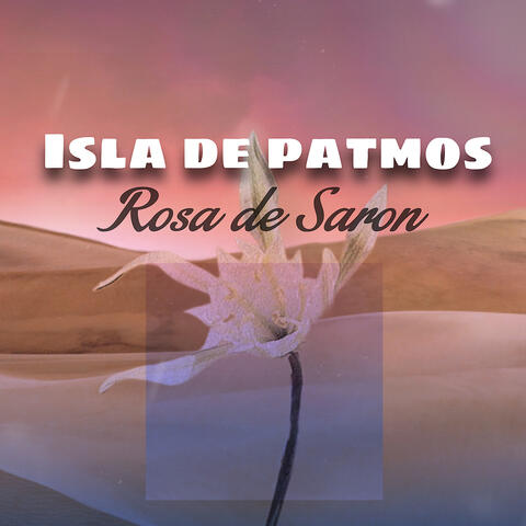 Rosa De Saron album art