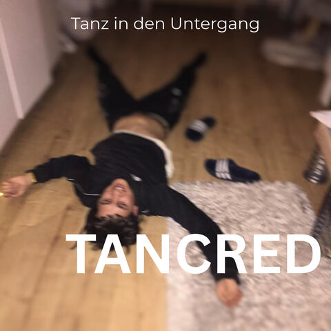 Tanz in Den Untergang album art