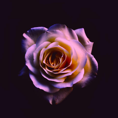 Colors album art