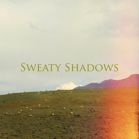 Sweaty Shadows album art