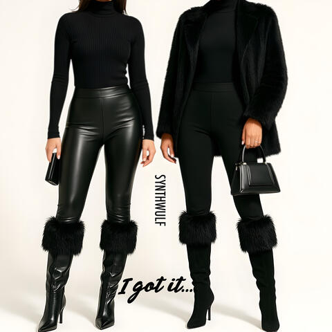 I Got It album art