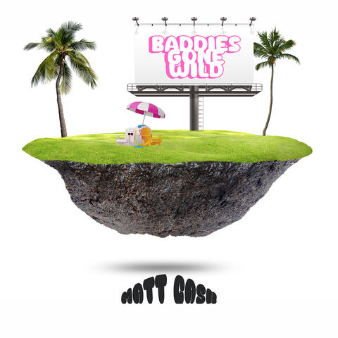 Baddies Gone Wild album art