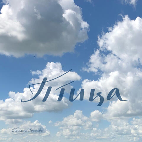 Птица album art
