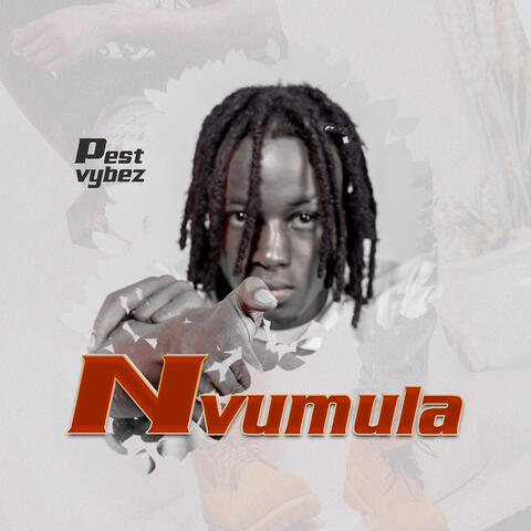 Nvumula album art