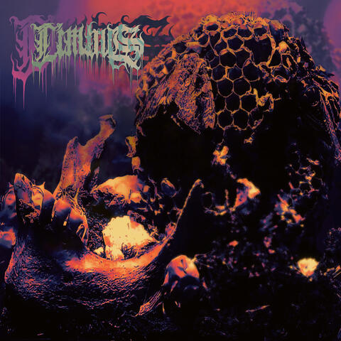 Limbus album art