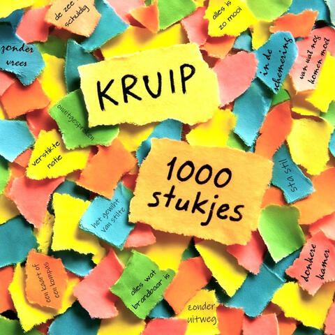 1000 Stukjes album art