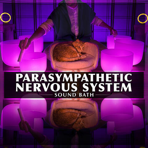 Parasympathetic Nervous System Sound Bath album art