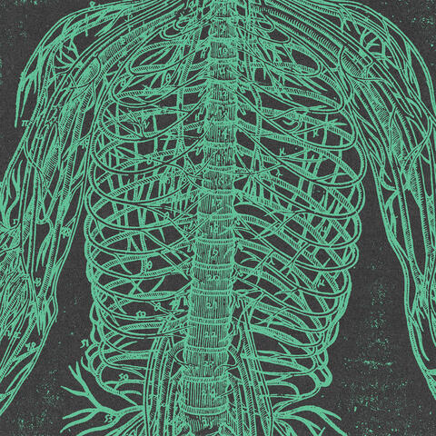 Pressure Point album art