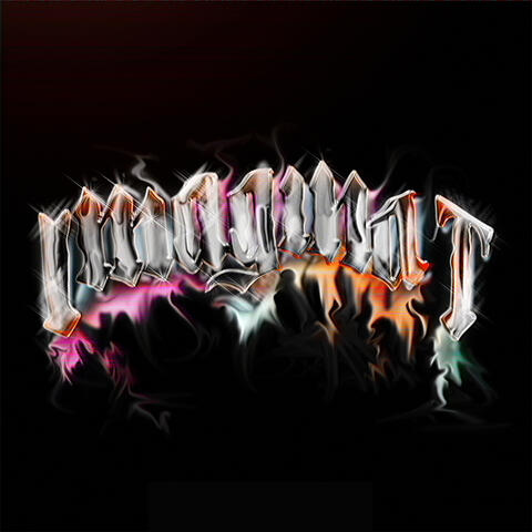 Imagina T album art