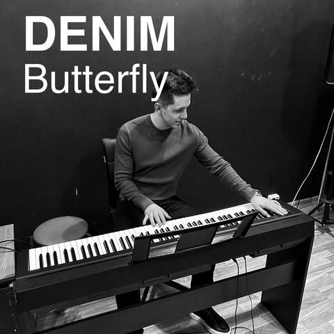 Butterfly album art