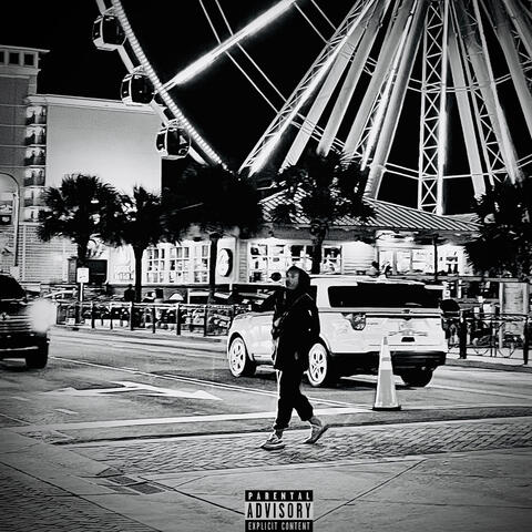 Palmetto Nights album art