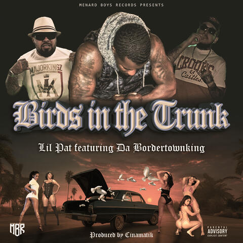 Birds in the Trunk album art