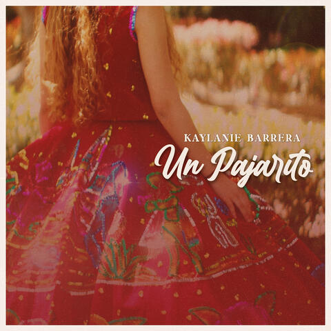 Un Pajarito album art
