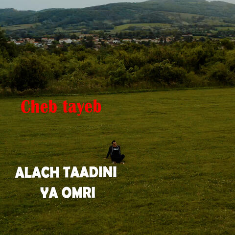 ALACH TAADINI  YA OMRI album art