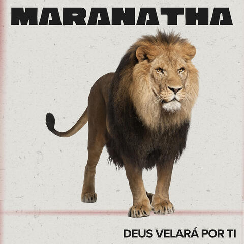 Deus Velará Por Ti album art