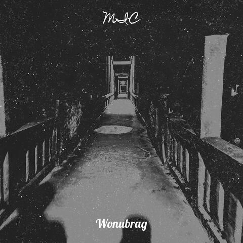 MIC album art