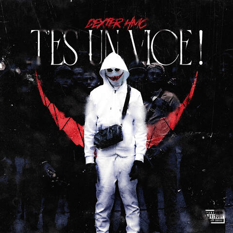 T’ES UN VICE ! album art