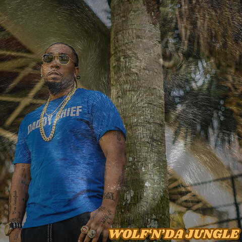 Wolf'n'dajungle album art